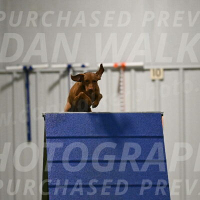 Indie-Jean-Bonness-02719