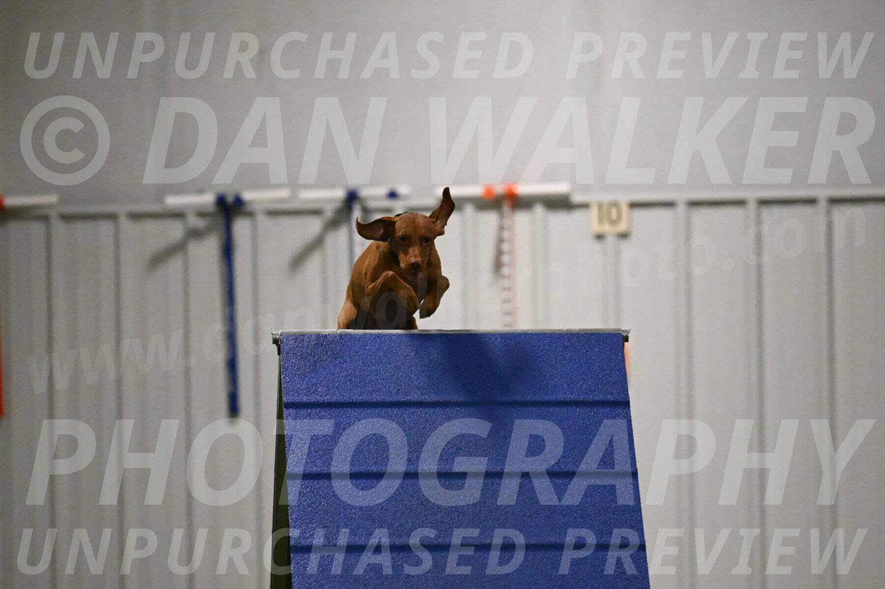 Indie-Jean-Bonness-02719