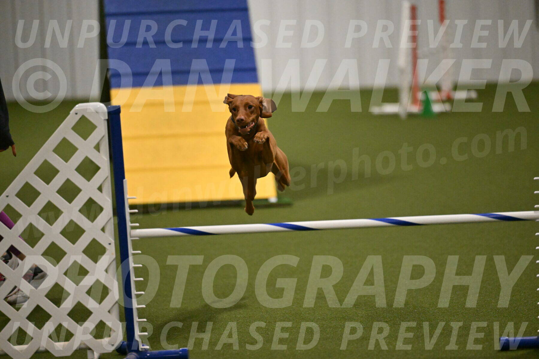 Indie-Jean-Bonness-02720