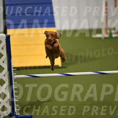 Indie-Jean-Bonness-02720