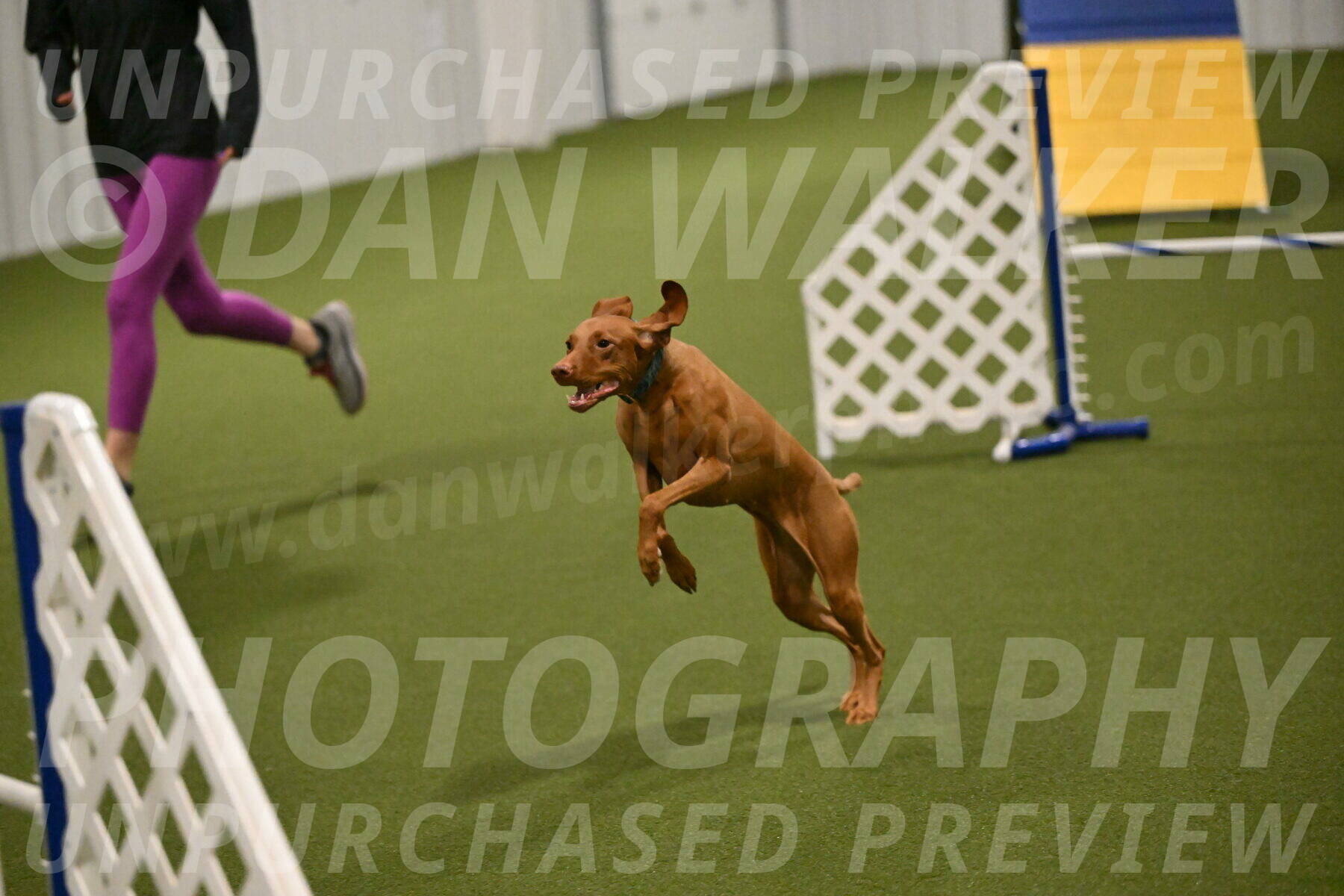 Indie-Jean-Bonness-02721