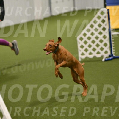 Indie-Jean-Bonness-02721