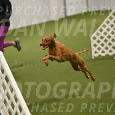 Indie-Jean-Bonness-02722