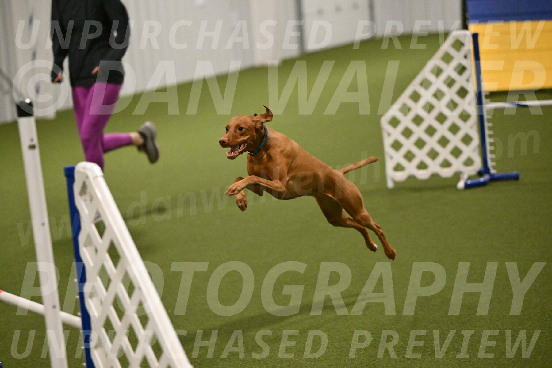 Indie-Jean-Bonness-02722