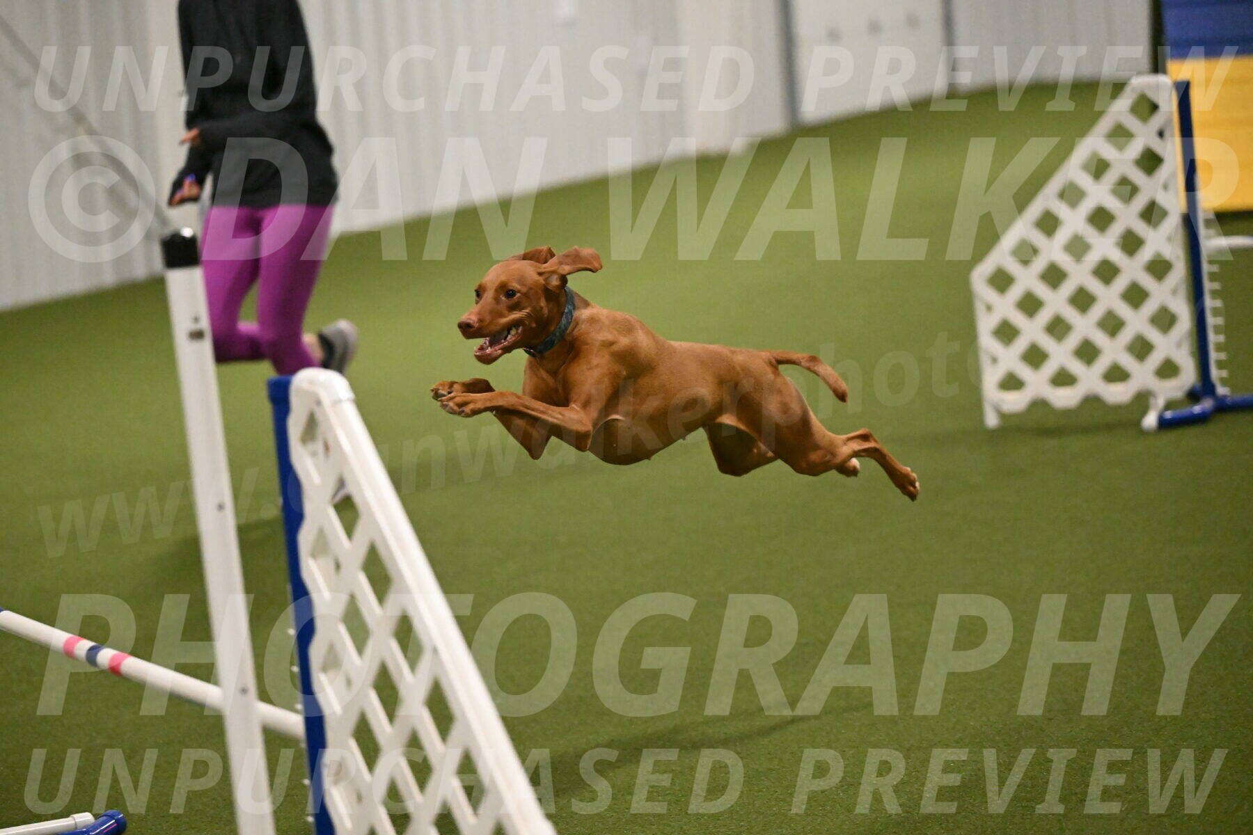 Indie-Jean-Bonness-02723