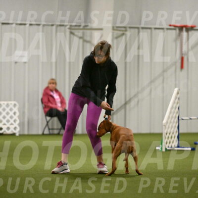 Indie-Jean-Bonness-02724