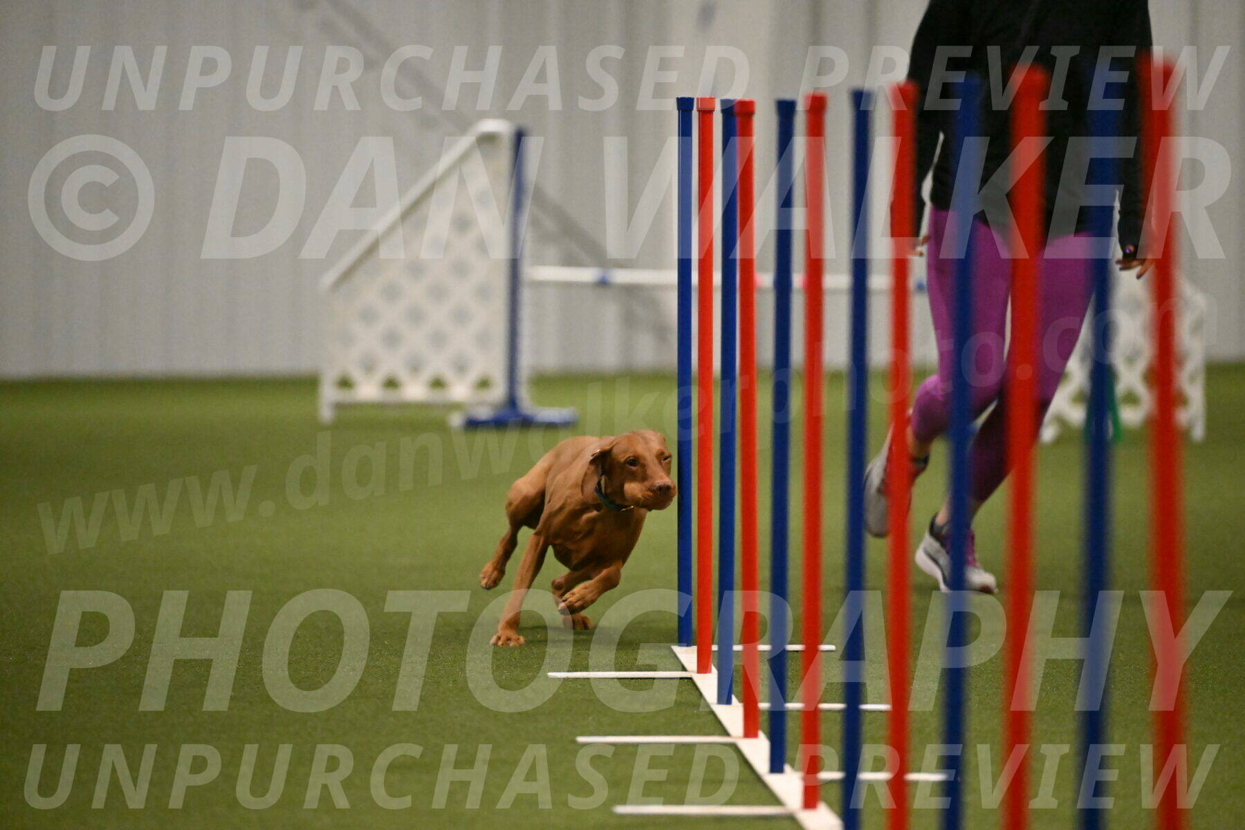 Indie-Jean-Bonness-02725