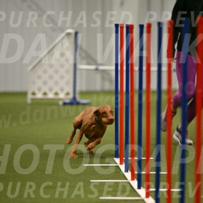 Indie-Jean-Bonness-02725