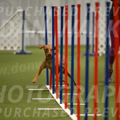 Indie-Jean-Bonness-02726