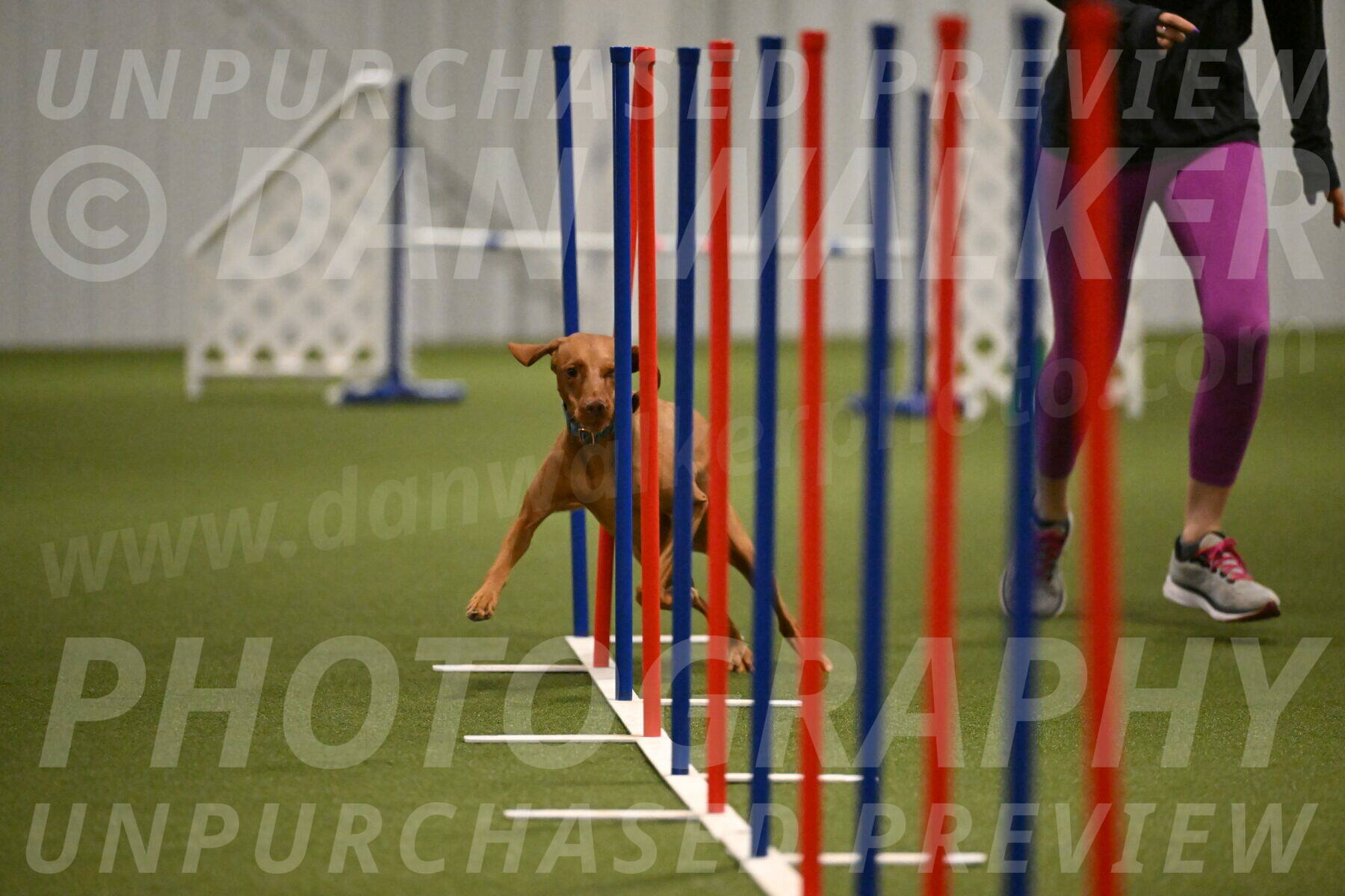 Indie-Jean-Bonness-02726