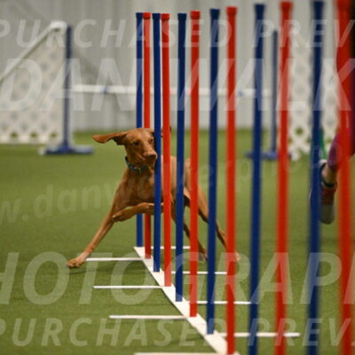 Indie-Jean-Bonness-02727