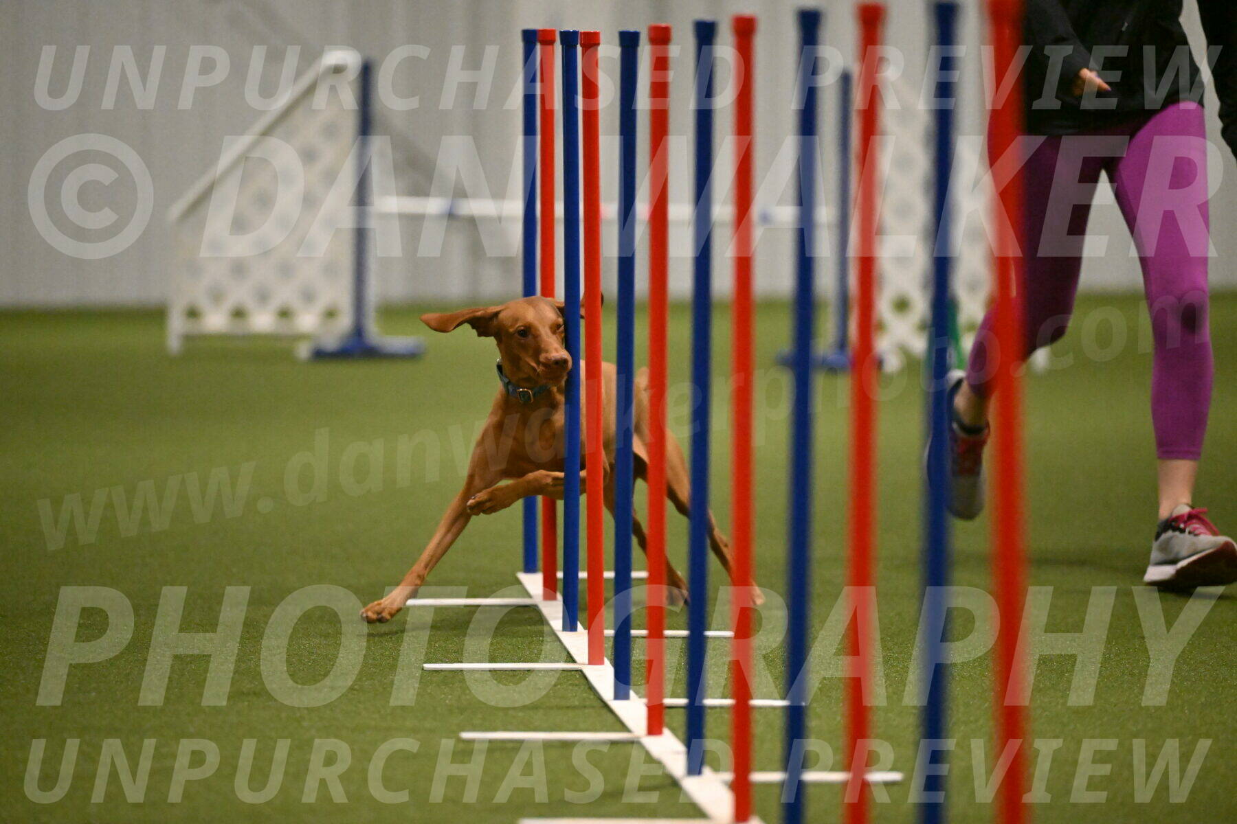 Indie-Jean-Bonness-02727