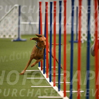 Indie-Jean-Bonness-02728