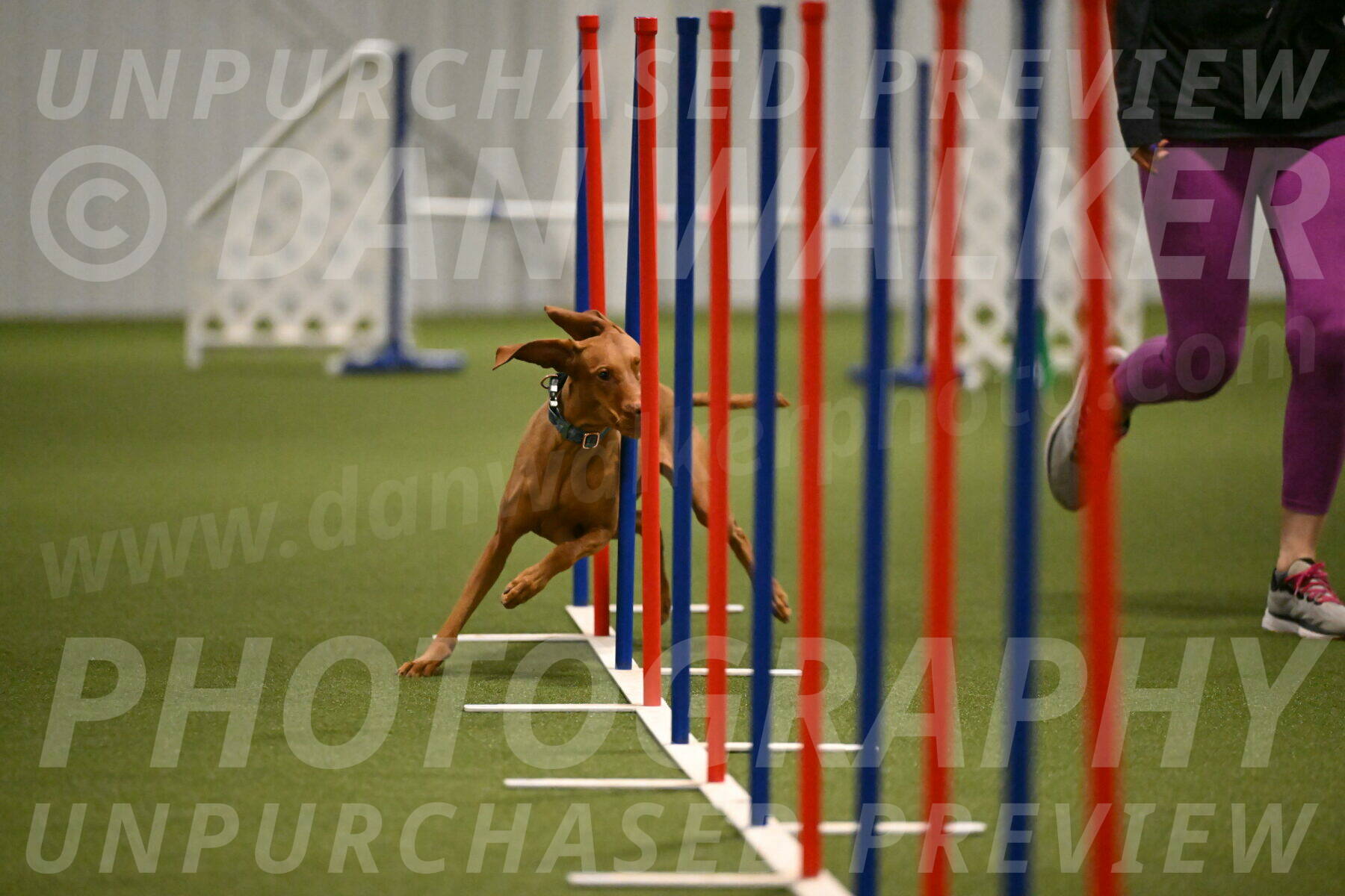 Indie-Jean-Bonness-02728