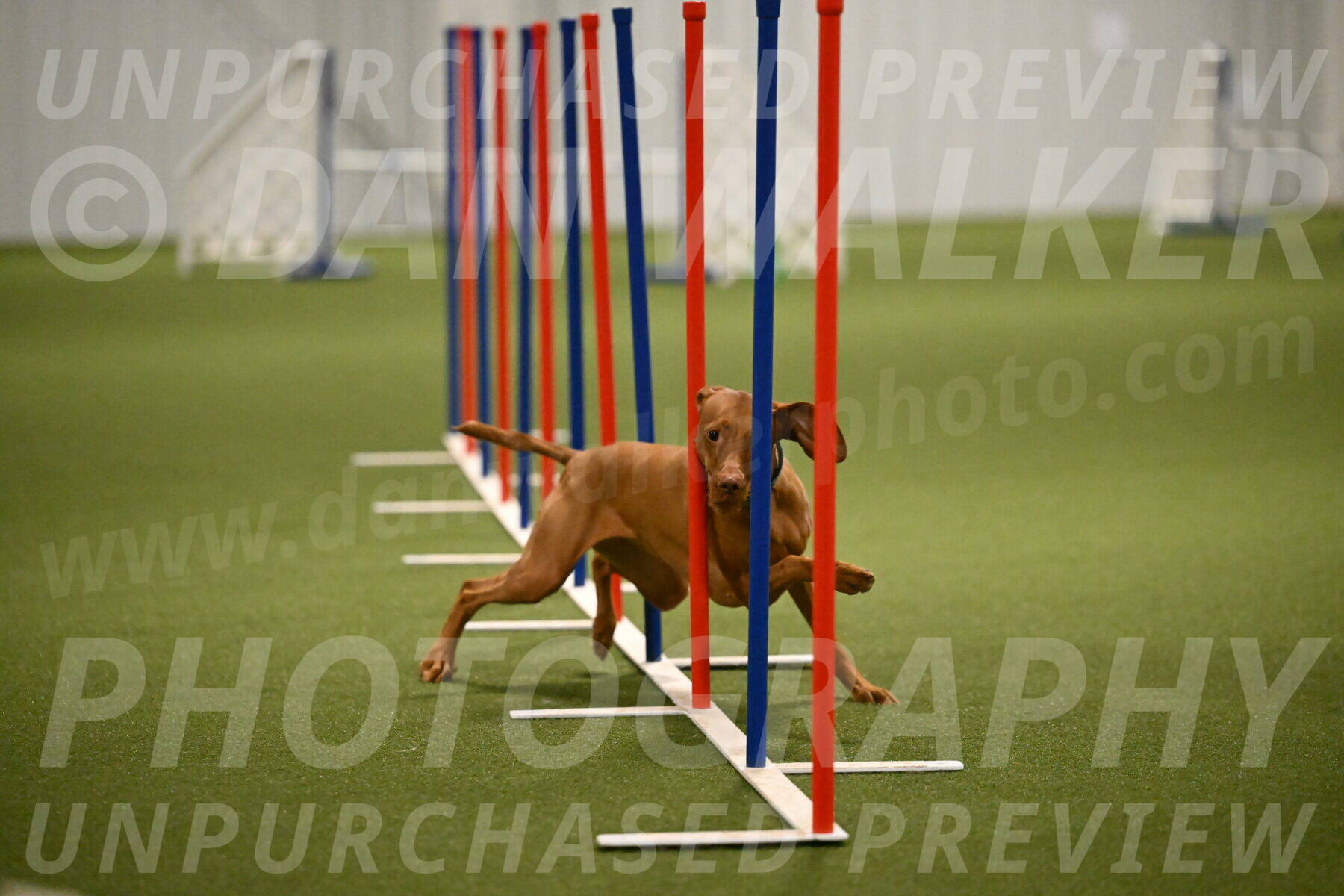 Indie-Jean-Bonness-02729