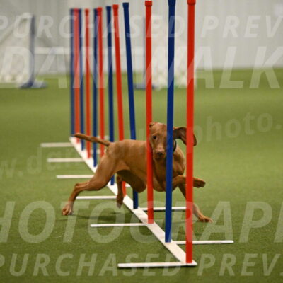 Indie-Jean-Bonness-02729