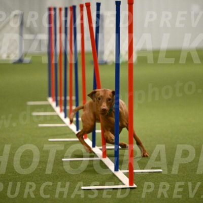 Indie-Jean-Bonness-02730