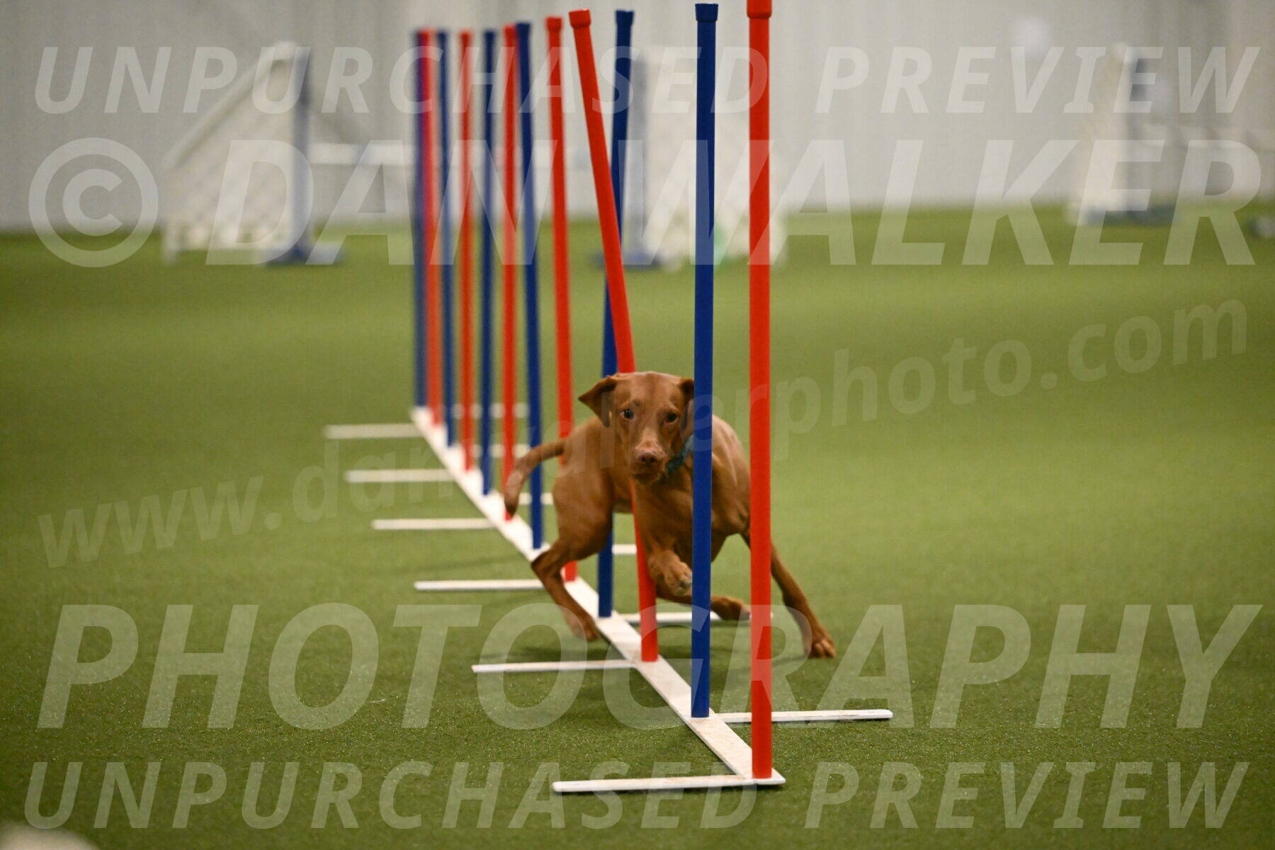 Indie-Jean-Bonness-02730