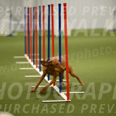 Indie-Jean-Bonness-02731