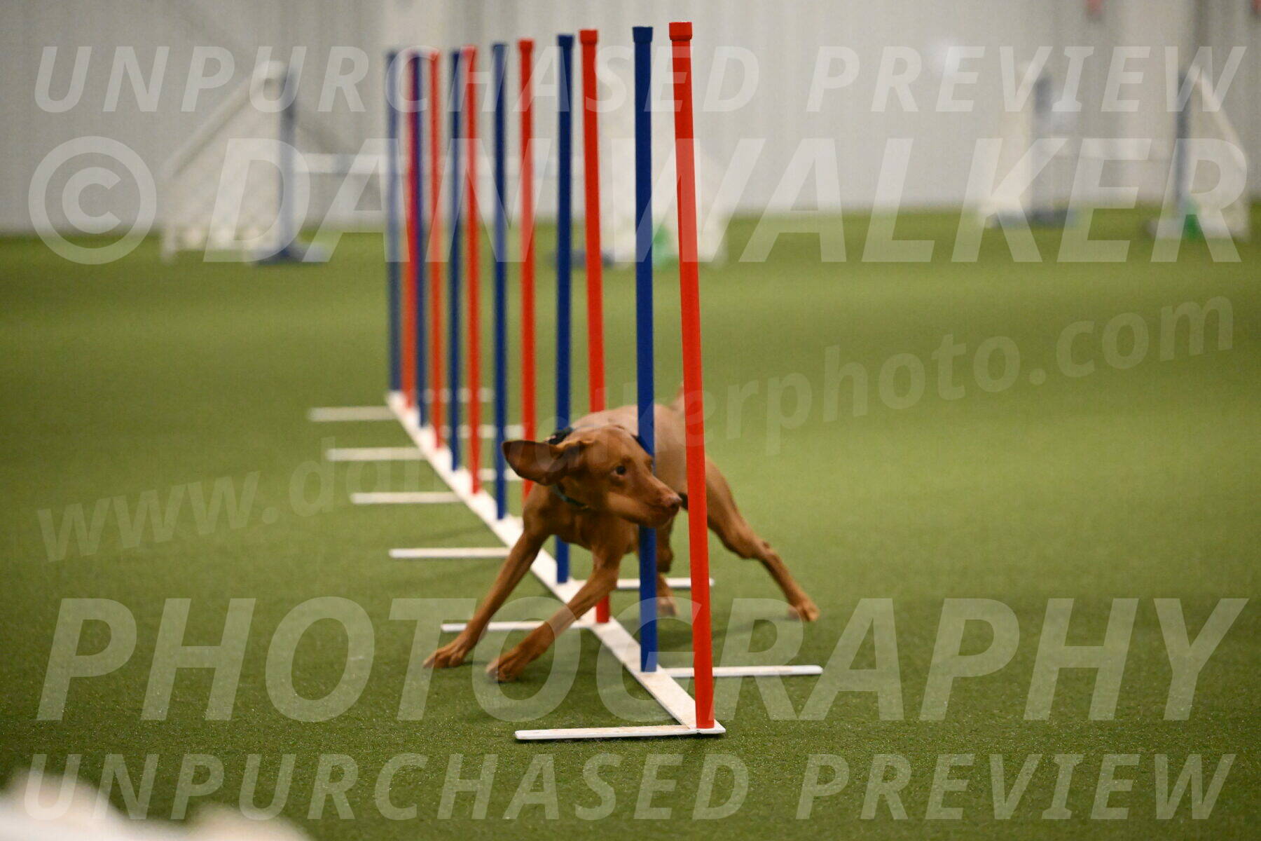 Indie-Jean-Bonness-02731