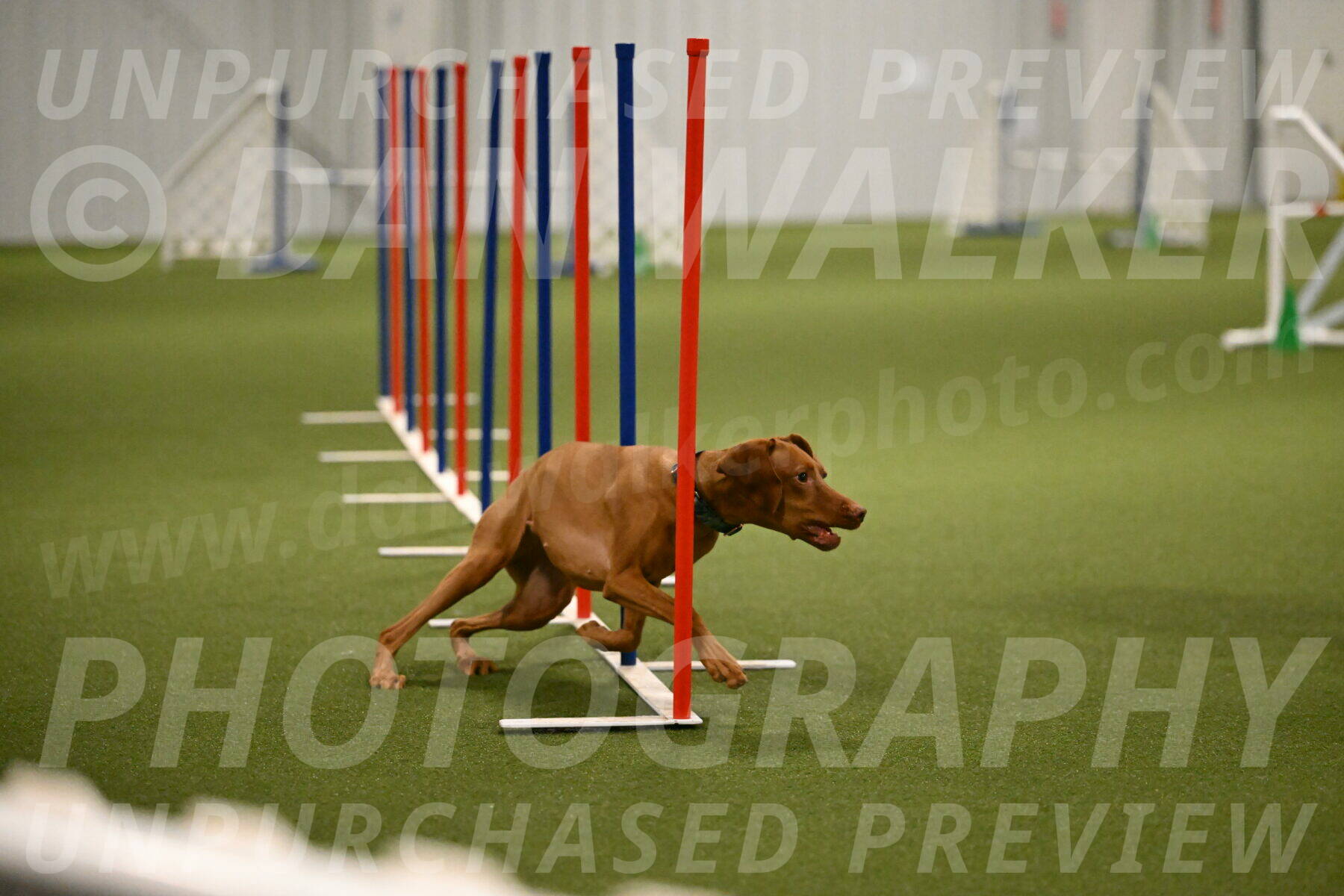 Indie-Jean-Bonness-02732