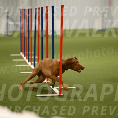 Indie-Jean-Bonness-02732