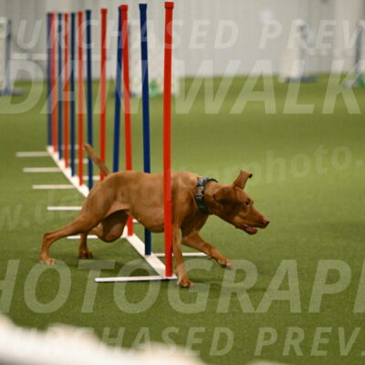 Indie-Jean-Bonness-02733