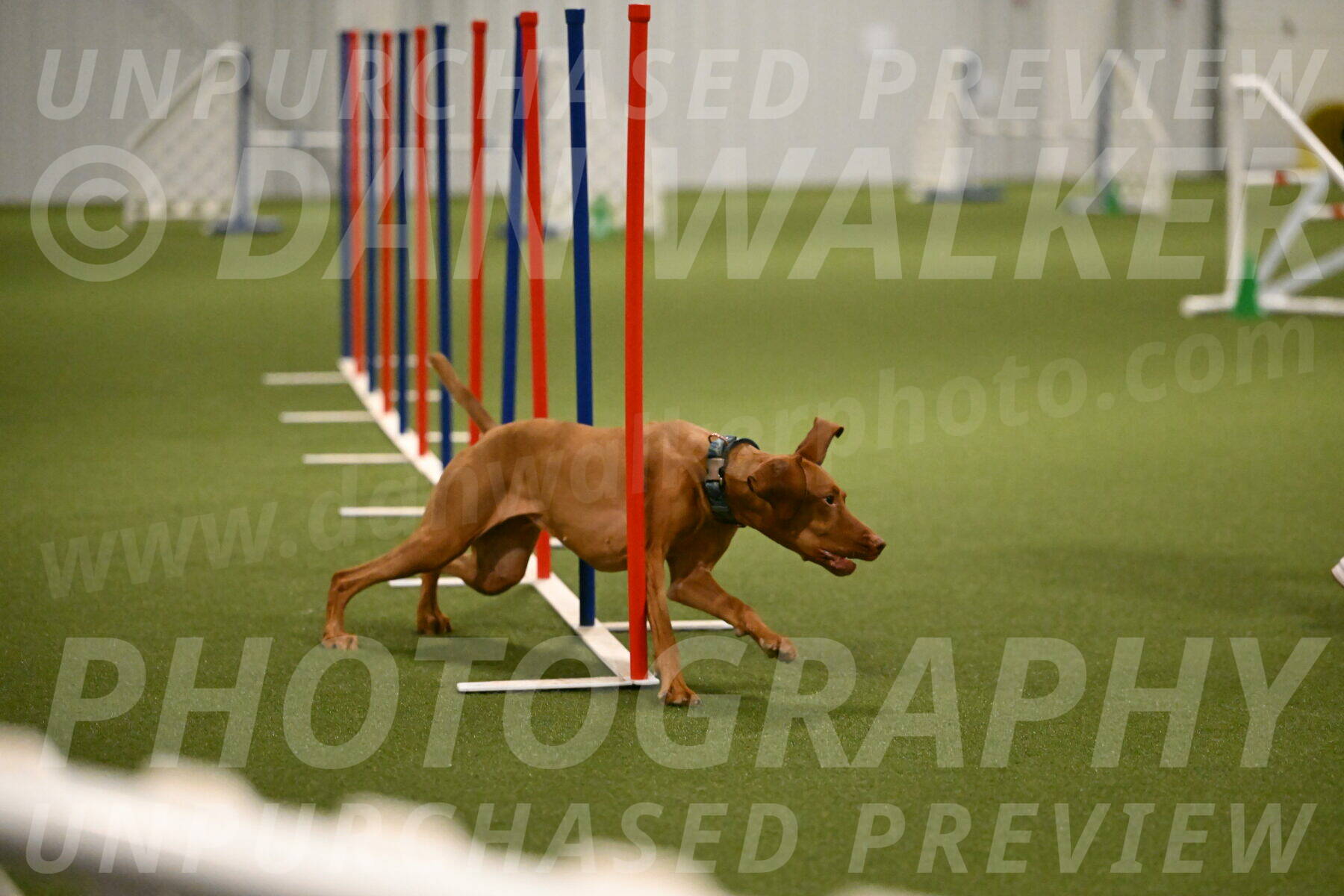 Indie-Jean-Bonness-02733