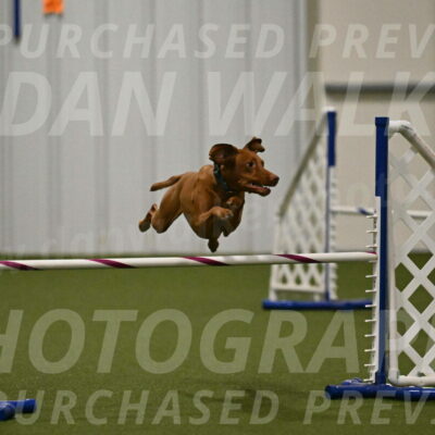 Indie-Jean-Bonness-02734