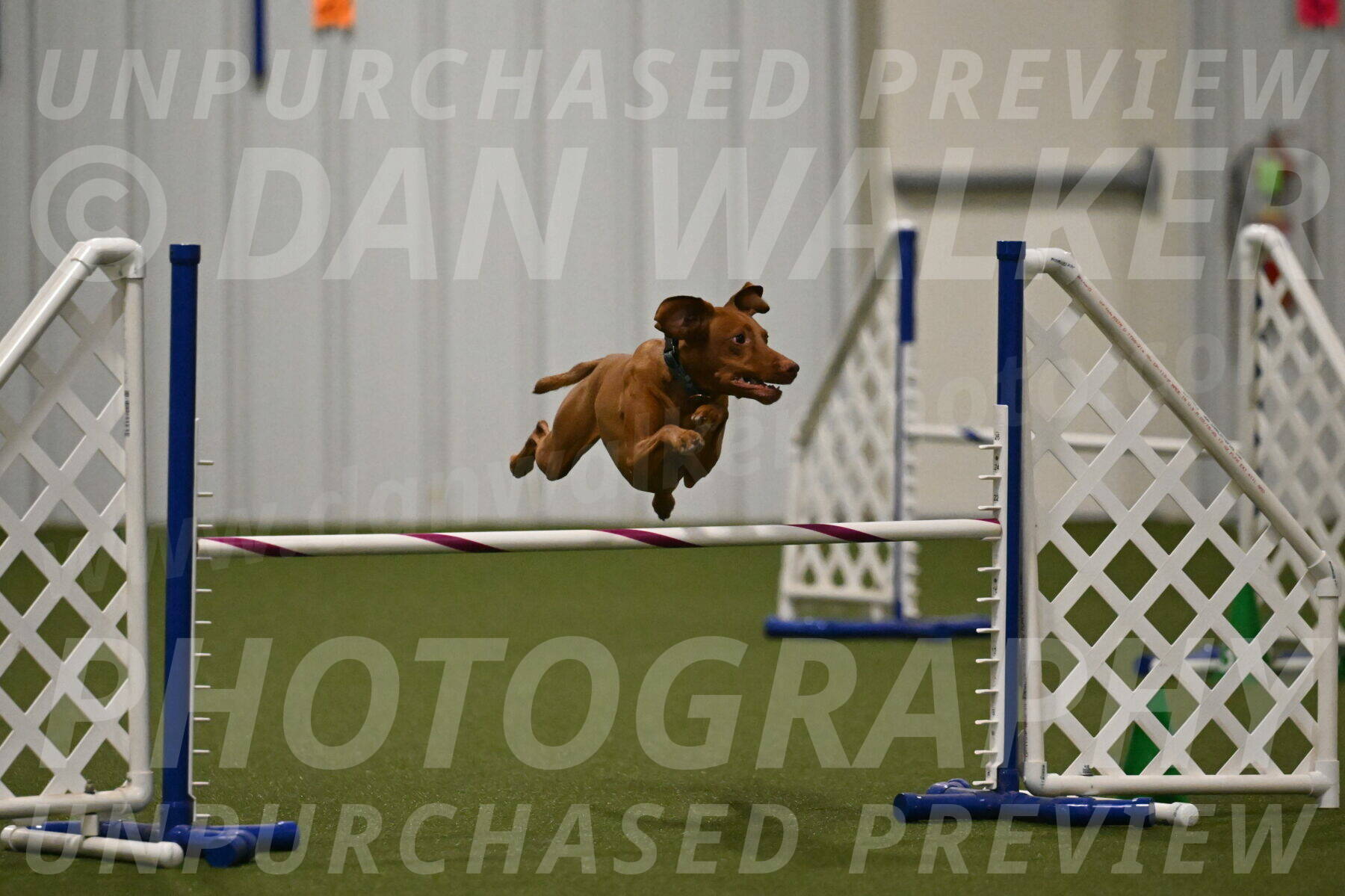 Indie-Jean-Bonness-02734