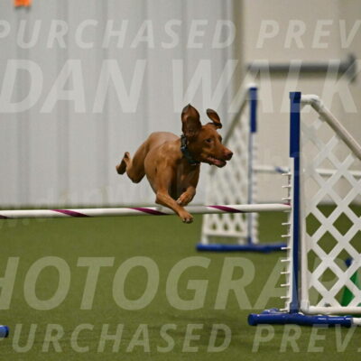 Indie-Jean-Bonness-02735