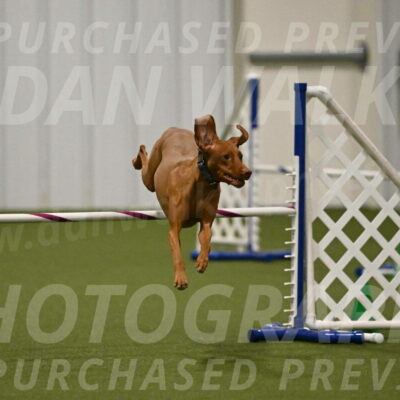 Indie-Jean-Bonness-02736