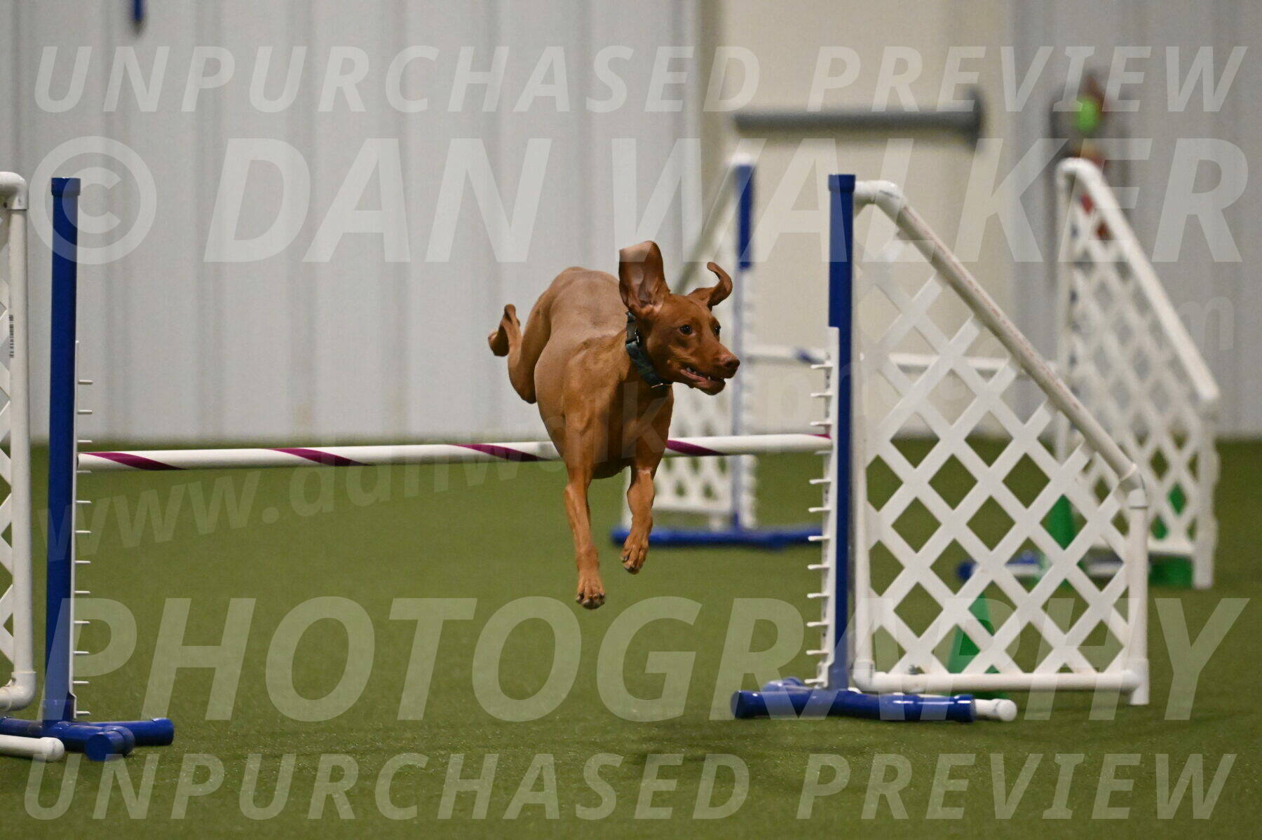 Indie-Jean-Bonness-02736