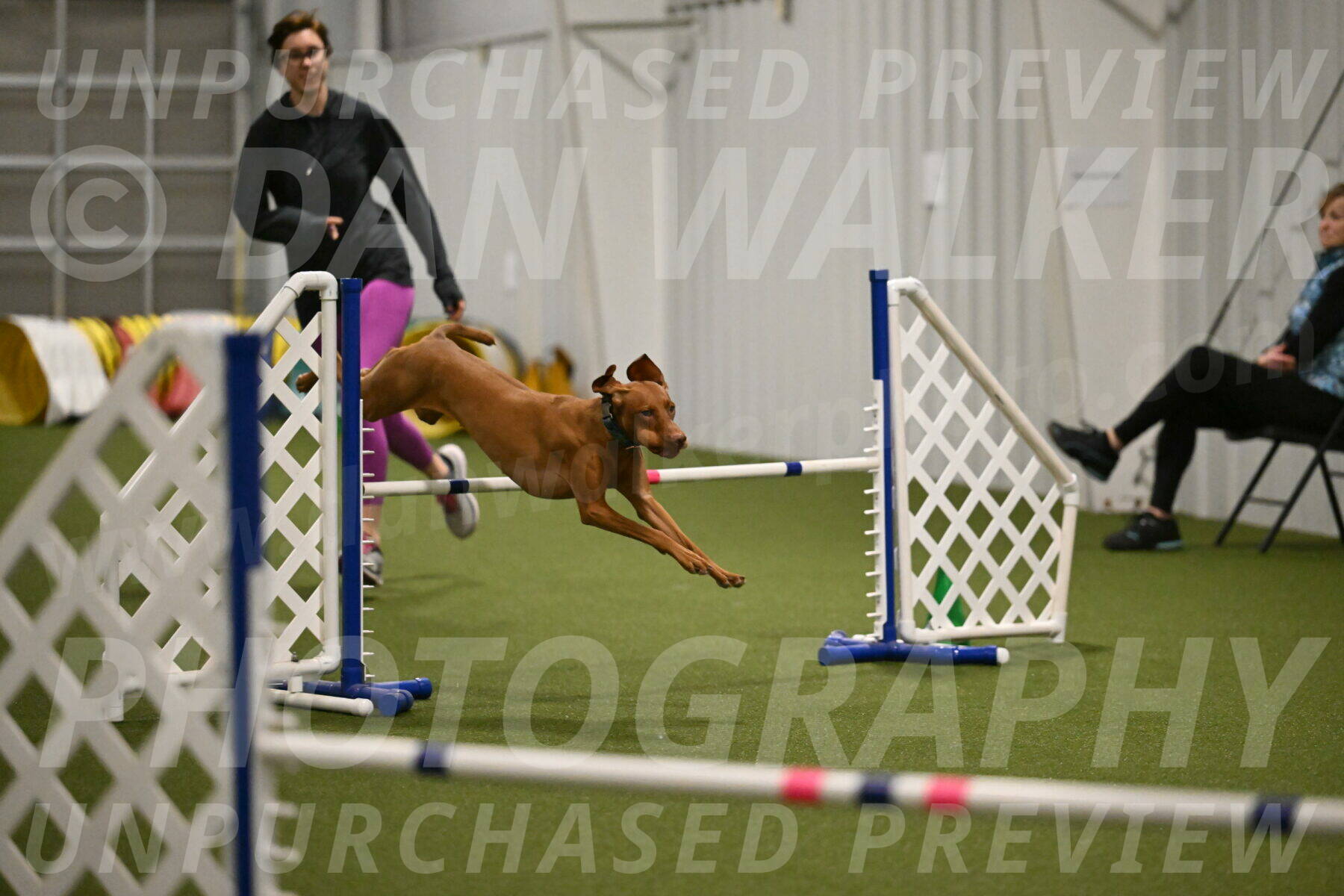 Indie-Jean-Bonness-02737