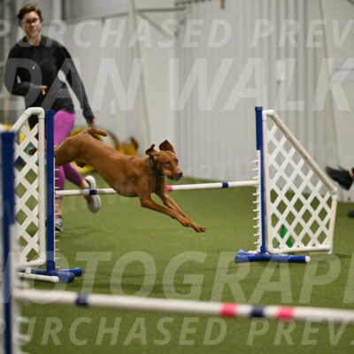 Indie-Jean-Bonness-02737