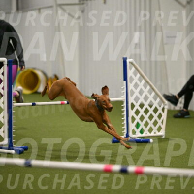 Indie-Jean-Bonness-02738