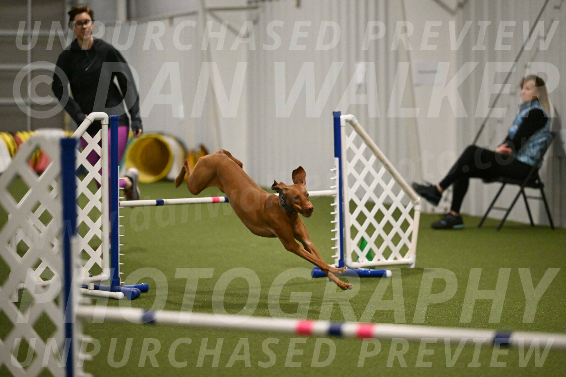 Indie-Jean-Bonness-02738