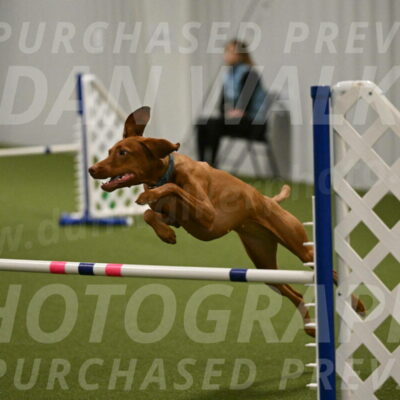 Indie-Jean-Bonness-02739