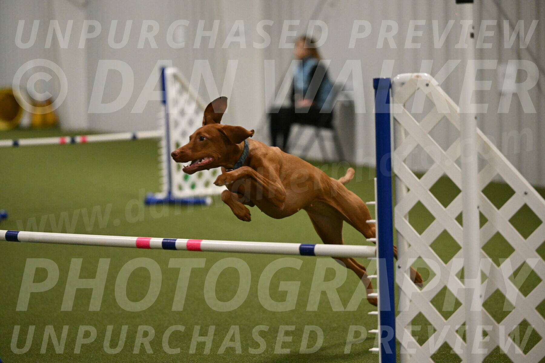 Indie-Jean-Bonness-02739