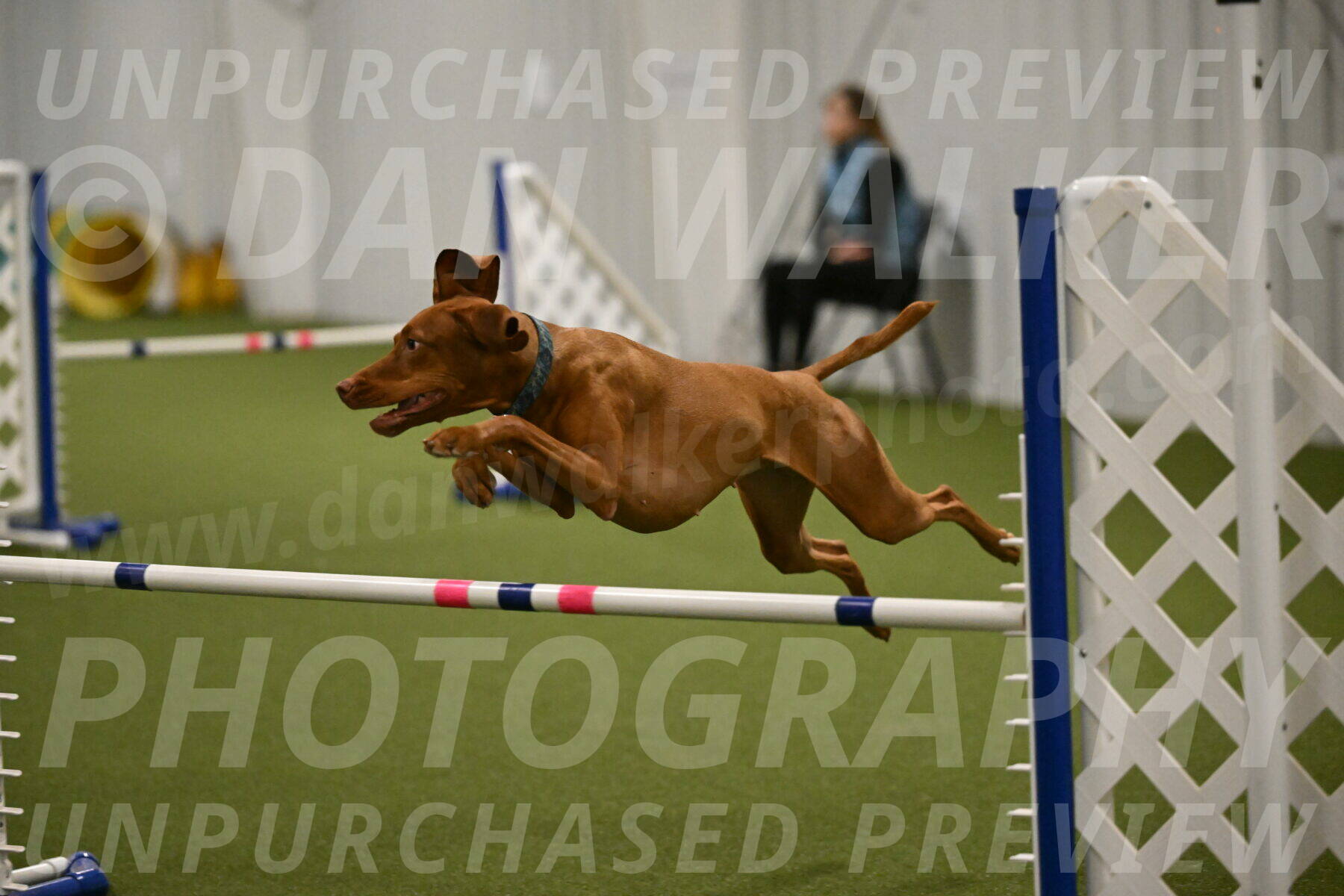 Indie-Jean-Bonness-02740