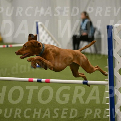 Indie-Jean-Bonness-02740