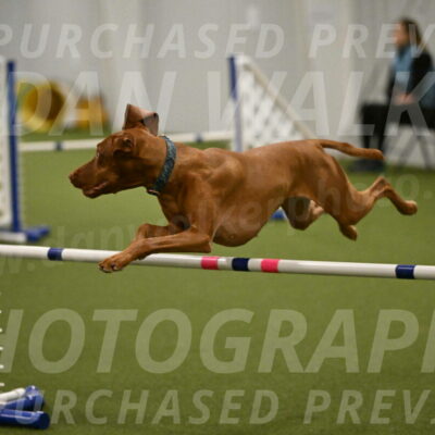 Indie-Jean-Bonness-02741