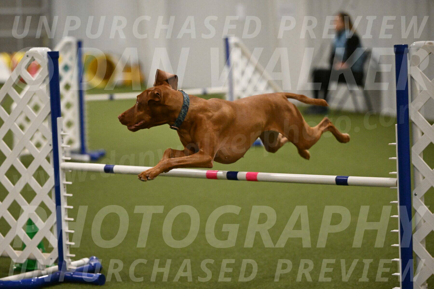 Indie-Jean-Bonness-02741