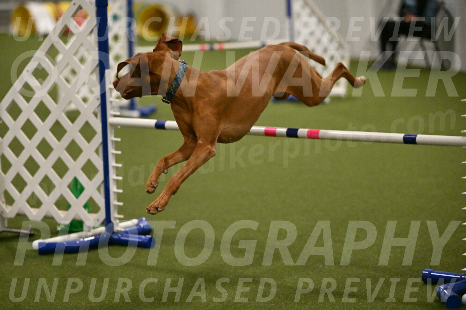 Indie-Jean-Bonness-02742