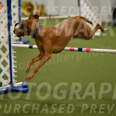 Indie-Jean-Bonness-02742