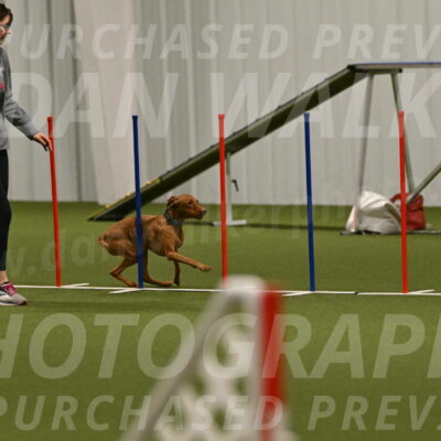 Indie-Jean-Bonness-02743