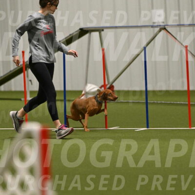 Indie-Jean-Bonness-02744