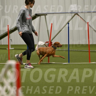 Indie-Jean-Bonness-02745