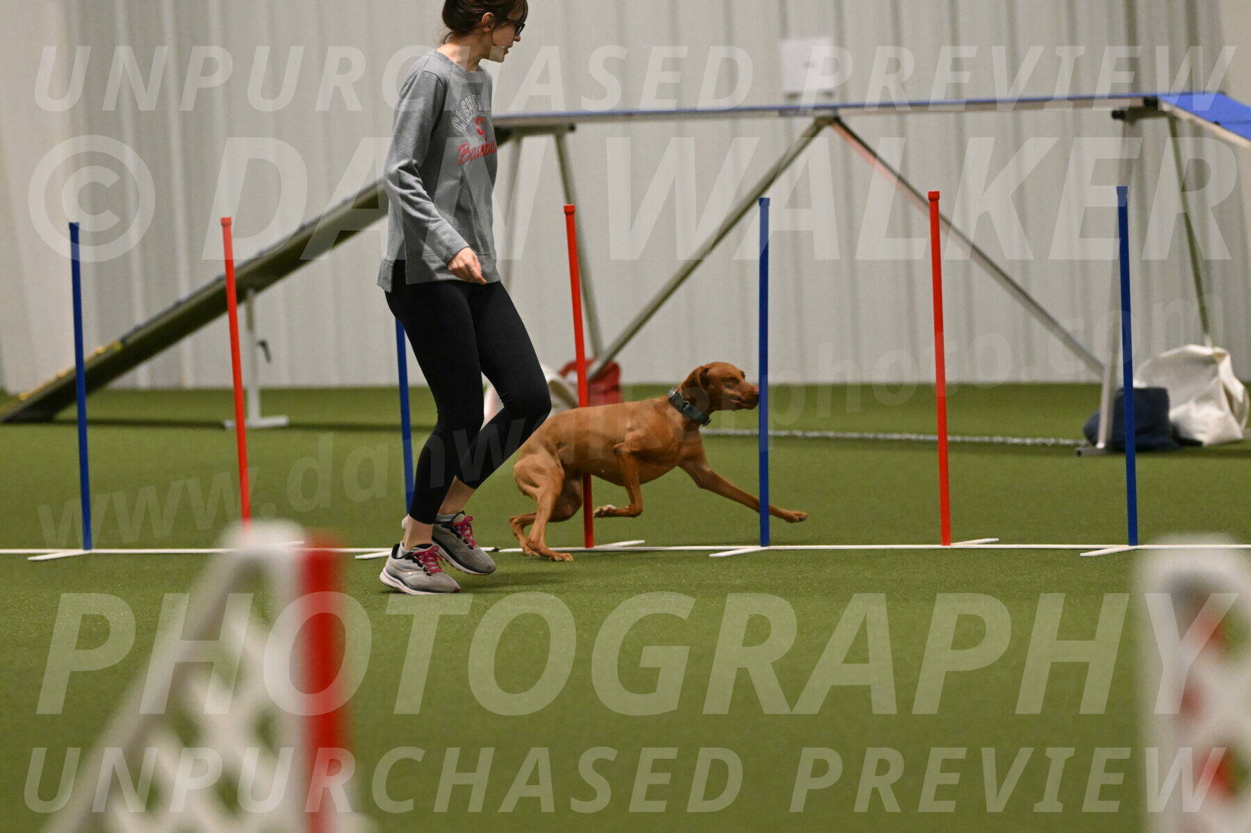 Indie-Jean-Bonness-02746