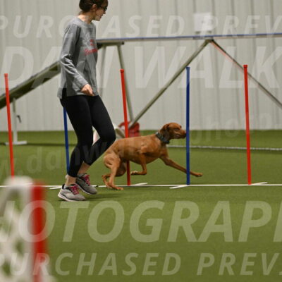 Indie-Jean-Bonness-02746